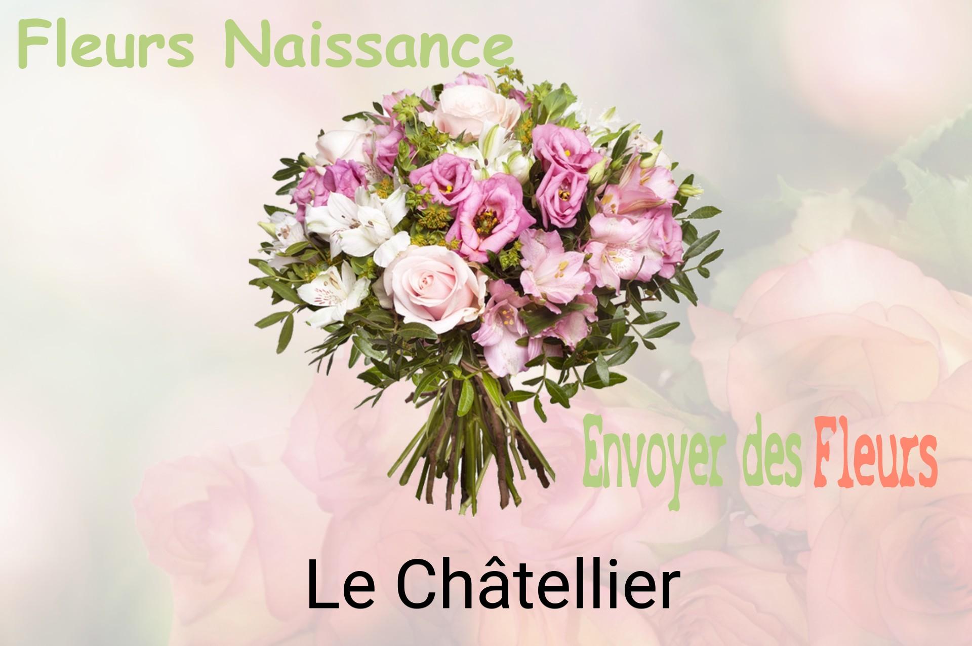 Bouquet de fleurs de naissance livré à Le Châtellier