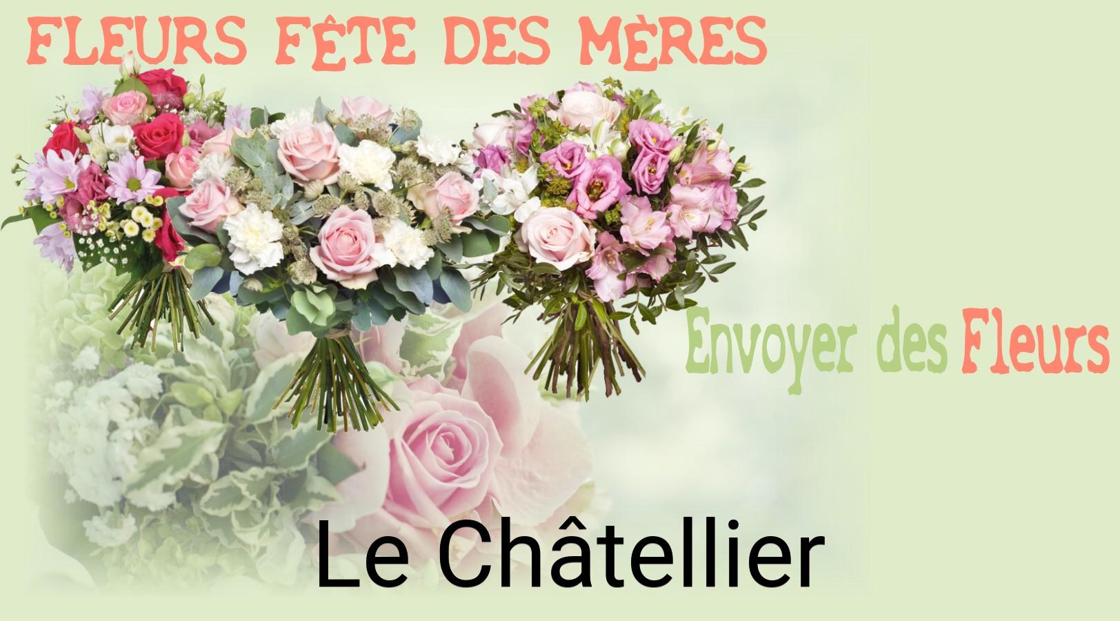Bouquet de Fête des Mères livré à Le Châtellier